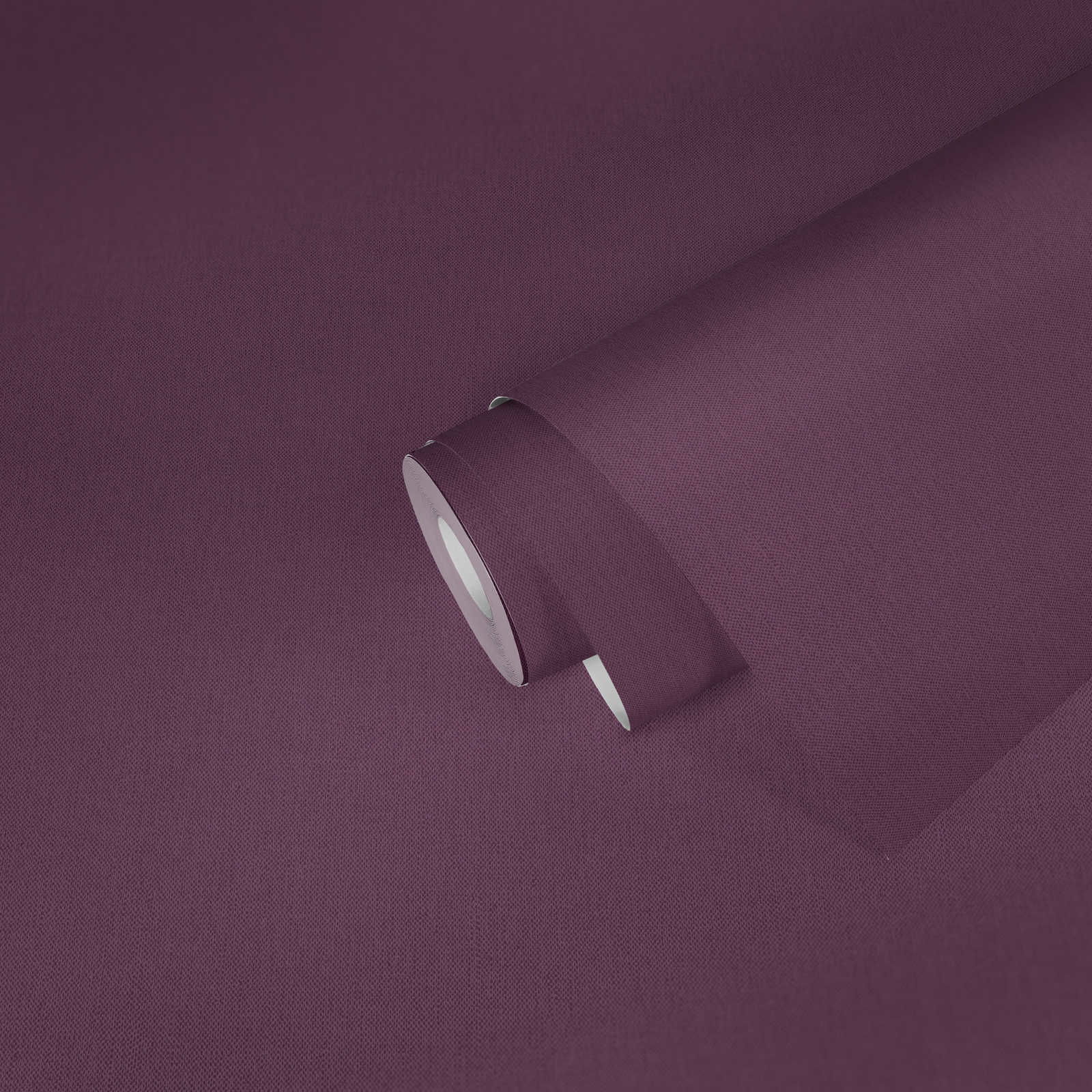 Architects Paper Wallpaper Jungle Chic