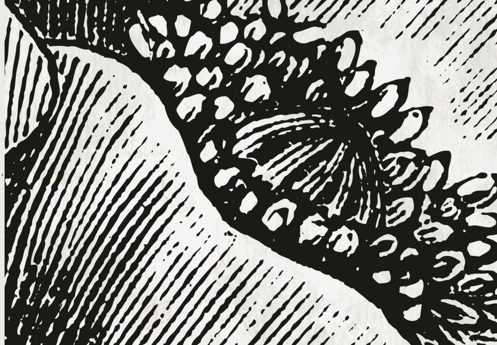 walls by patel impression numérique Walls by Patel