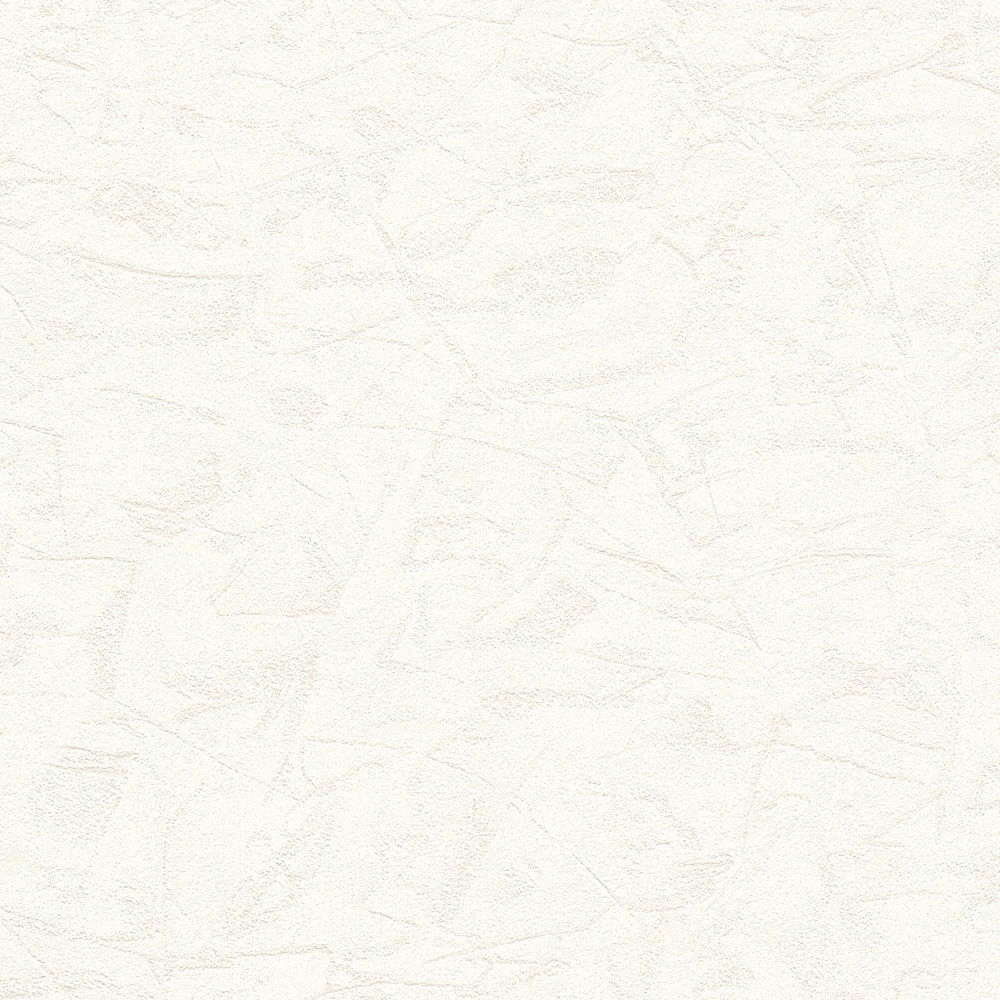 A.S. Création Tapete Shades of White