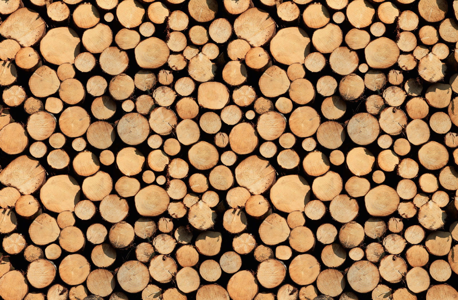 Architects Paper impression numérique AP Digital