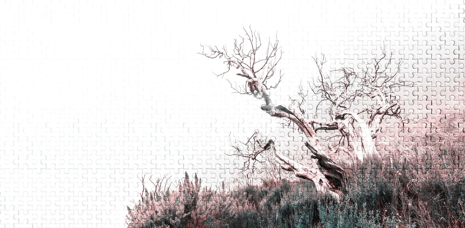 Architects Paper Fotobehang Atelier 47