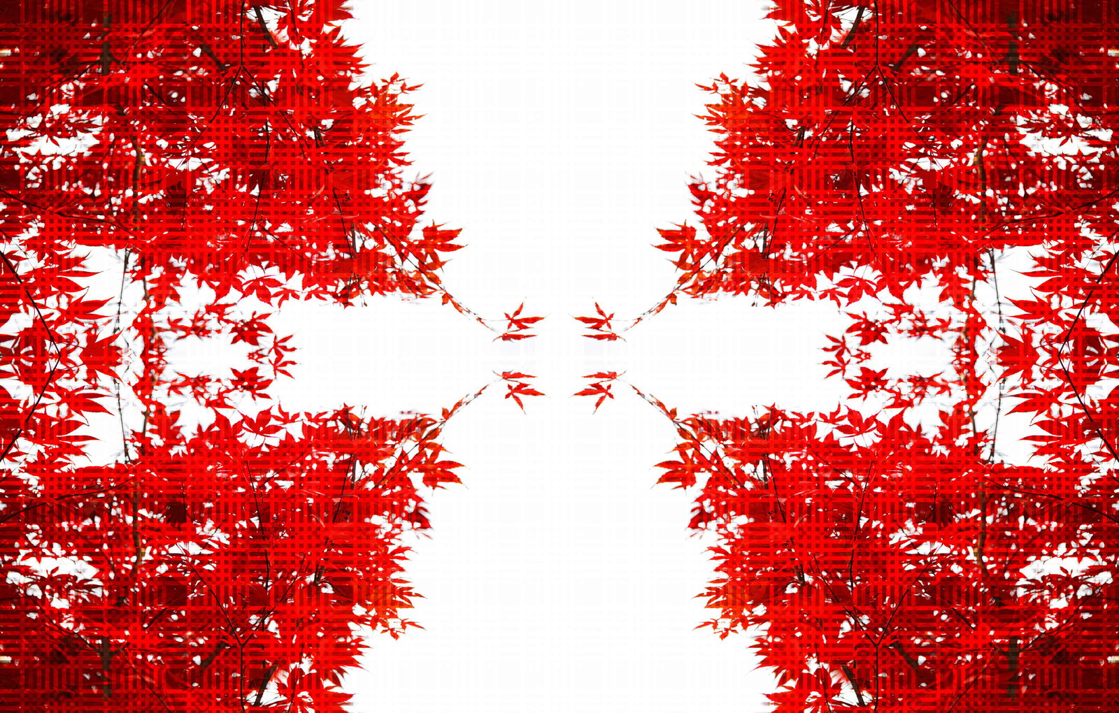 Architects Paper Fototapete AP Digital 4