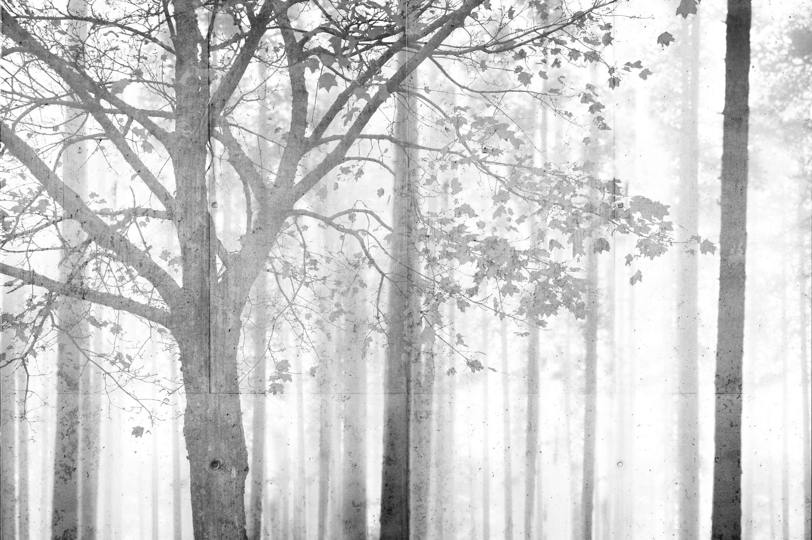 Architects Paper impression numérique Atelier 47