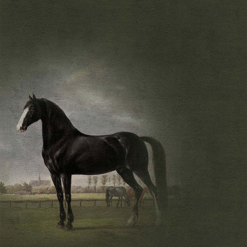 walls by patel Photo wallpaper Walls by Patel