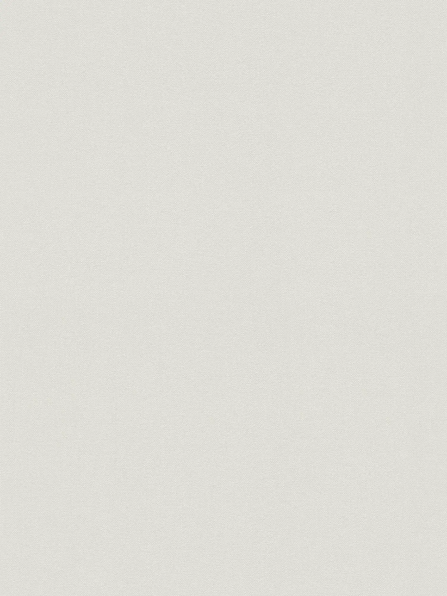 A.S. Création Обои Terra 2022 A.S. Création Обои Terra 2022