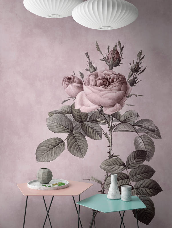 walls by patel impression numérique Walls by Patel