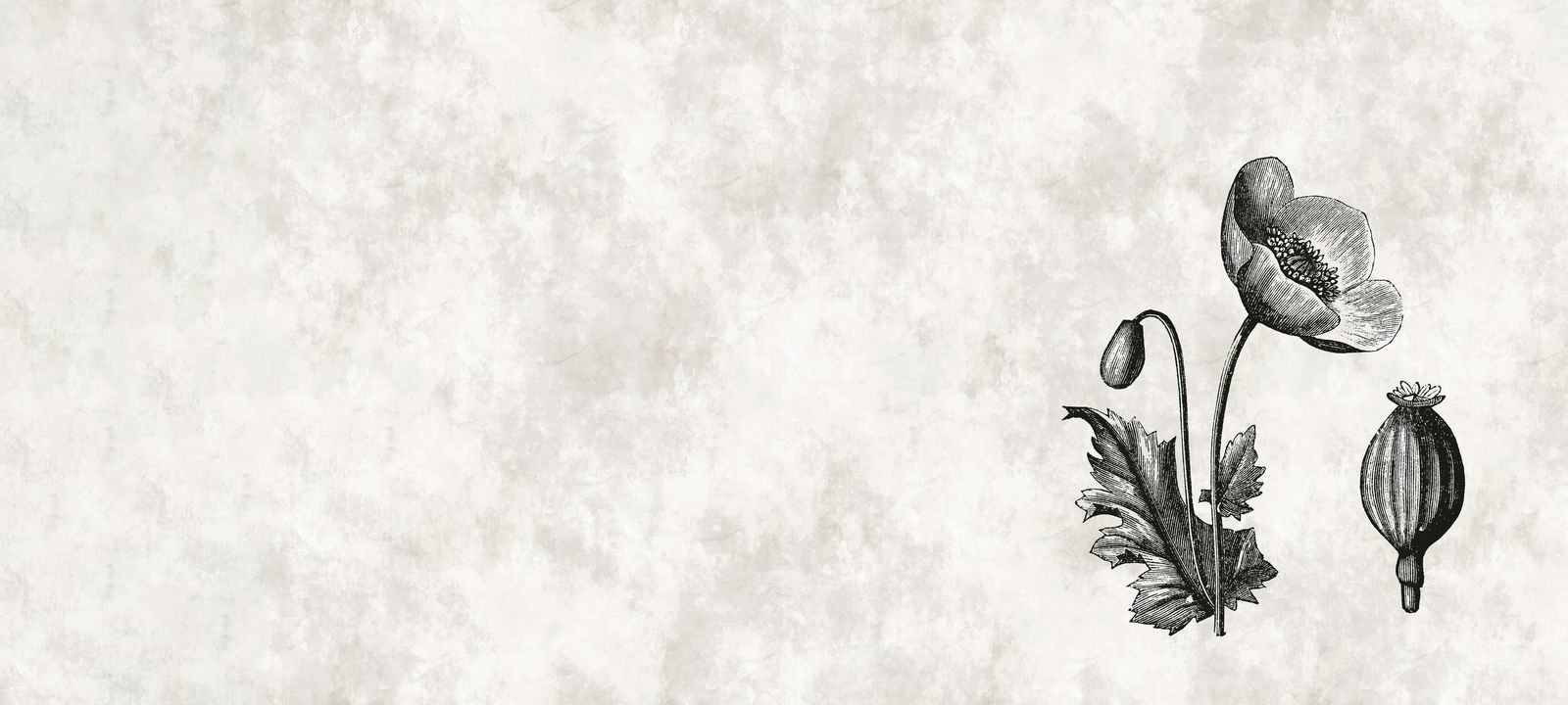 walls by patel impression numérique Walls by Patel