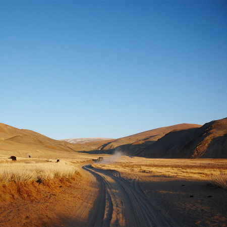 Architects Paper impression numérique AP Digital