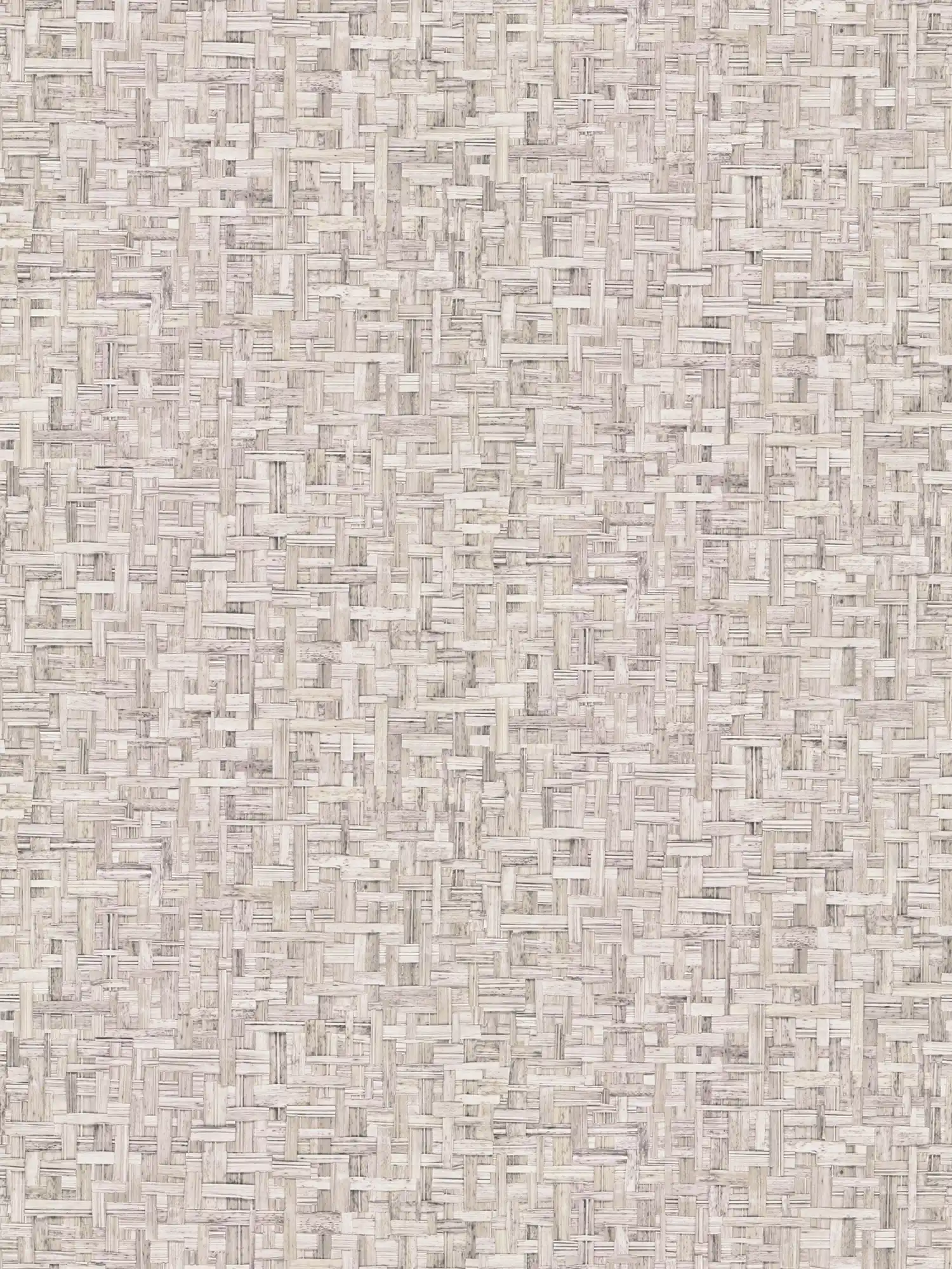Architects Paper Wallpaper Jungle Chic