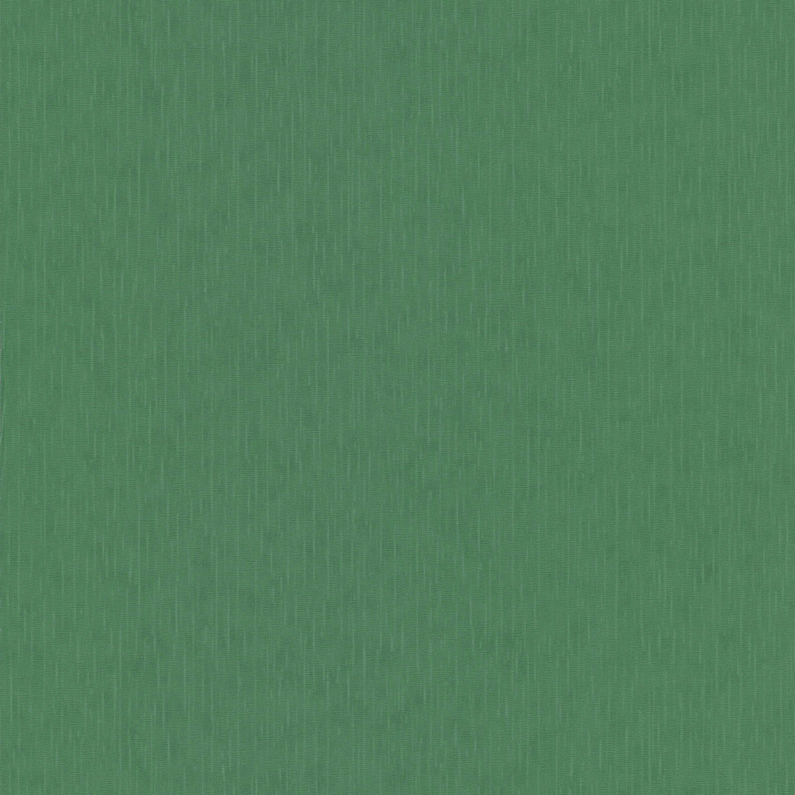 Versace Home Обои Versace 5 Versace Home Обои Versace 5