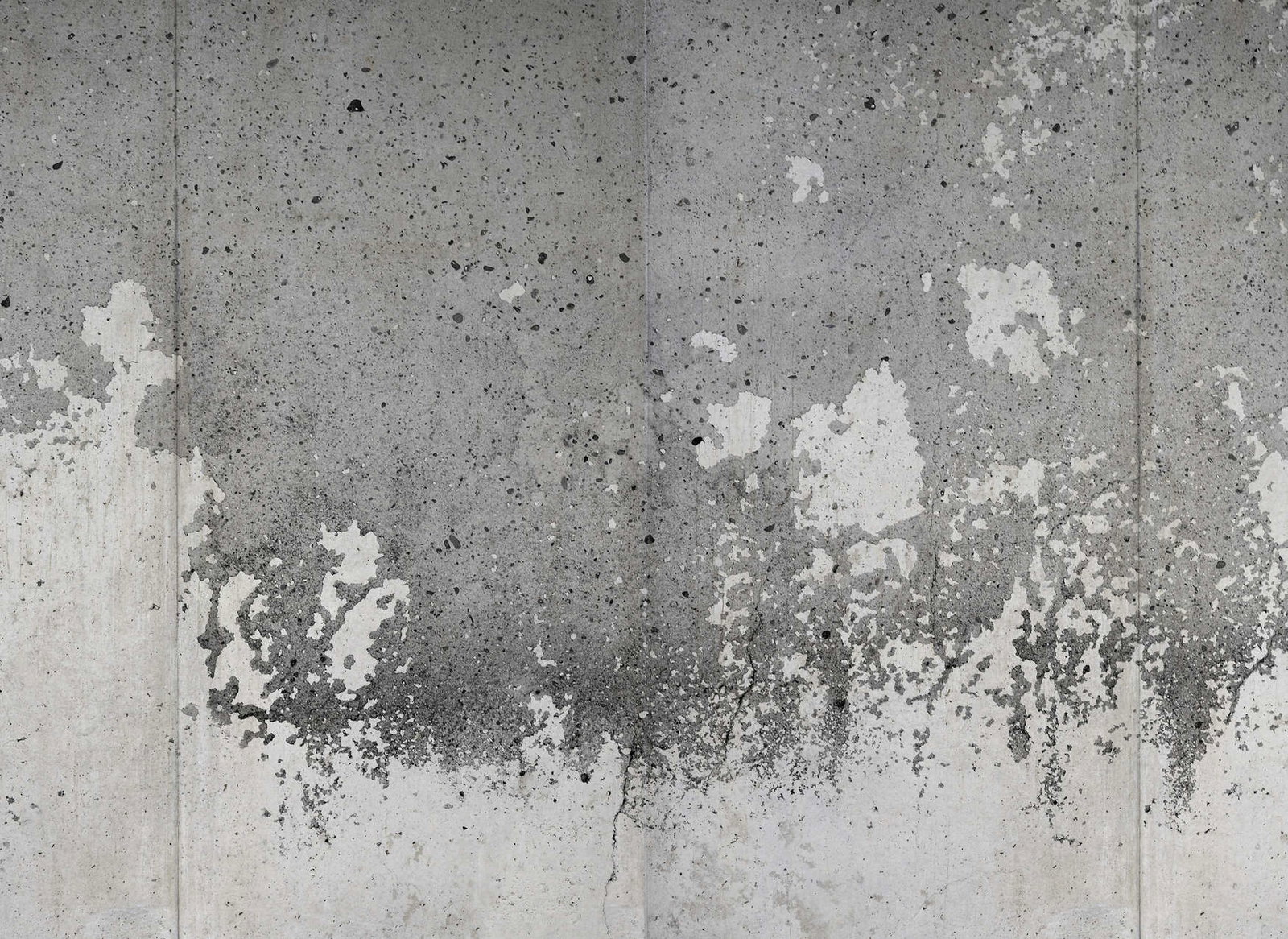 livingwalls Фотообои Designwalls 2