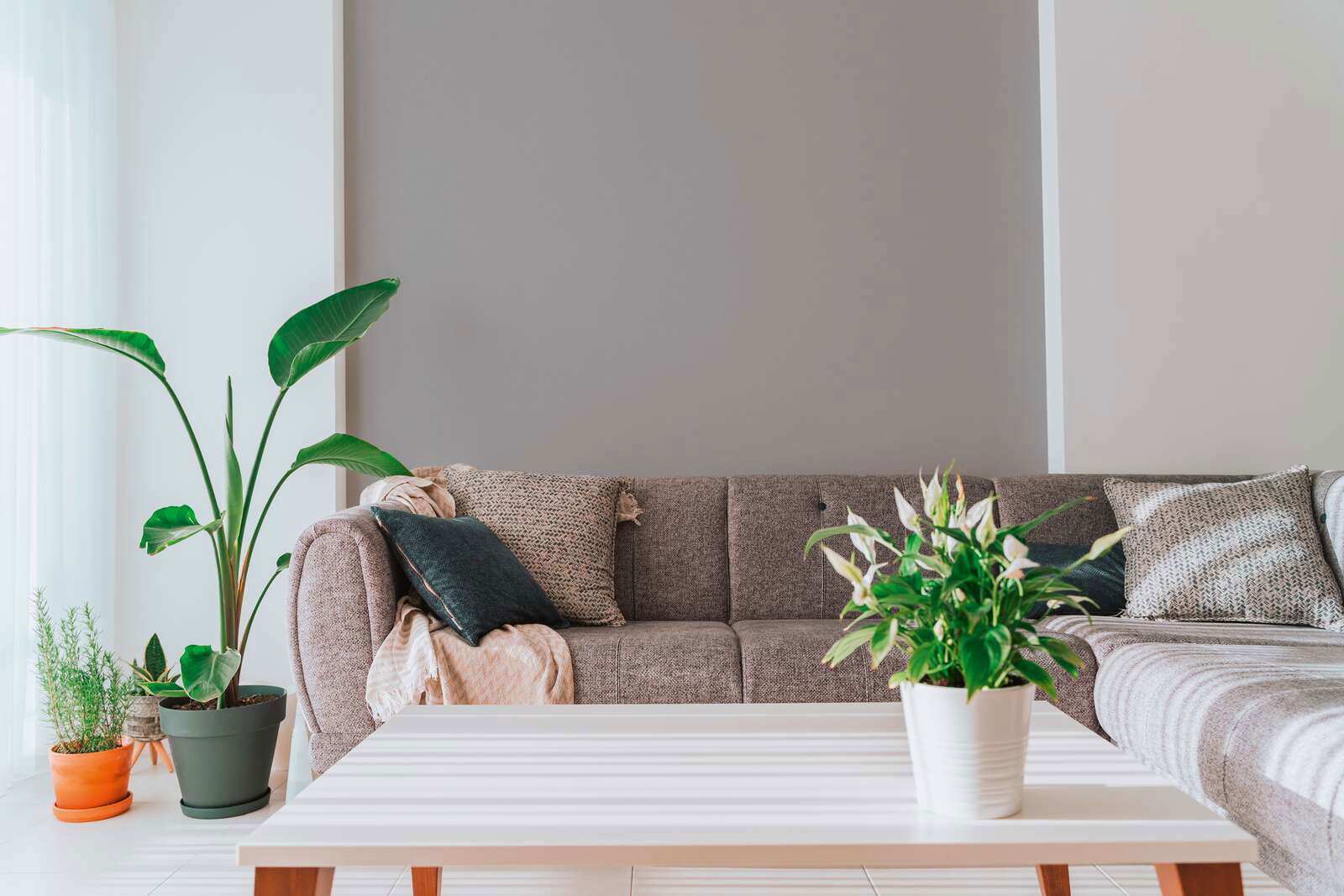 A.S. Création Обои House of Turnowsky