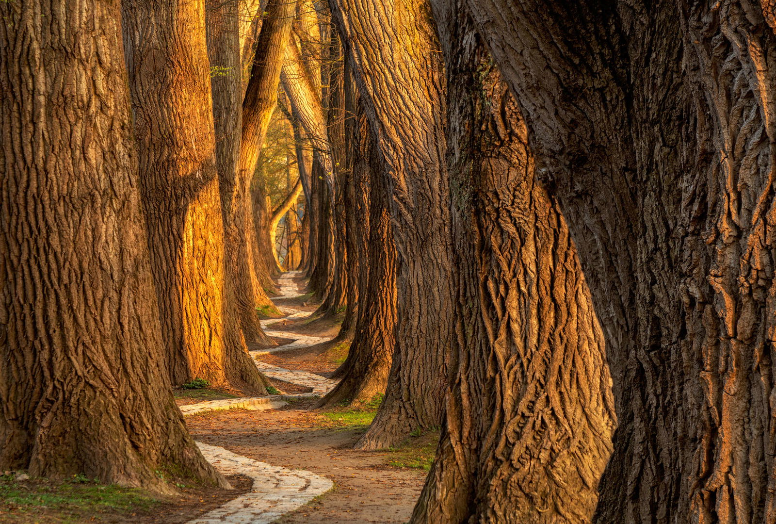 Architects Paper Fotobehang AP Digital 4